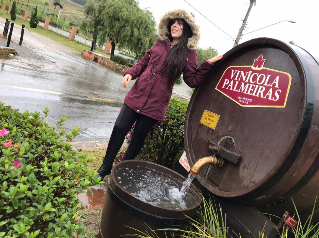 Vinícola Palmeiras-Sao Roque必去景点