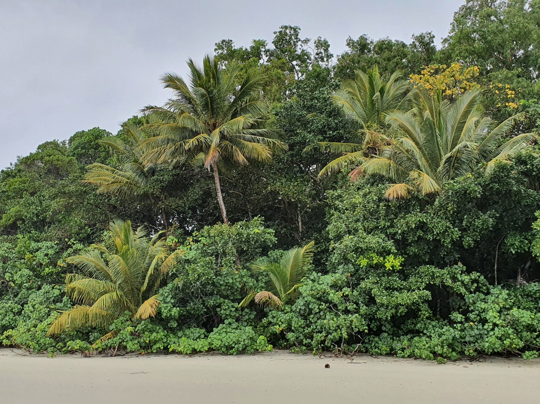 Thornton Beach-Thornton Beach必去景点