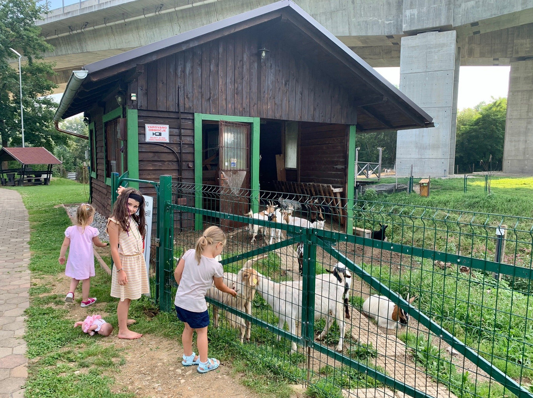 Pension Black Baron主图