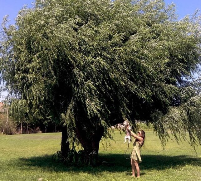 Garca Real Hotel & Spa主图