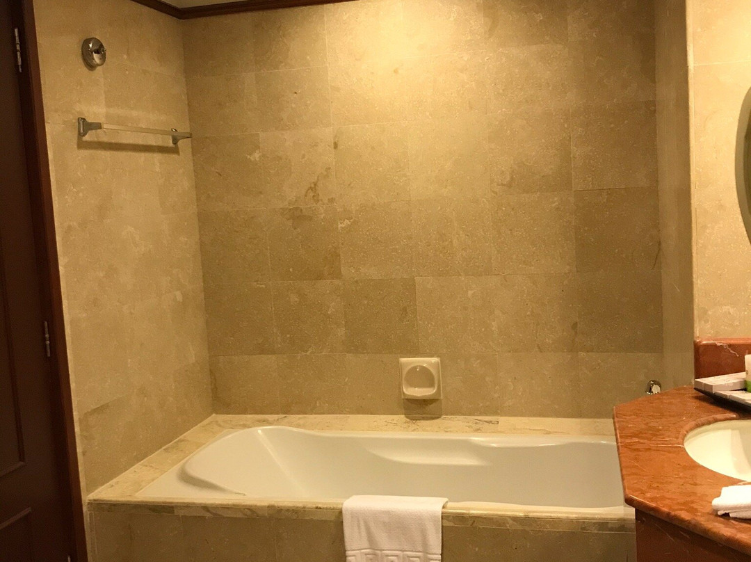 普特拉贾亚班吉国际贵都大饭店主图