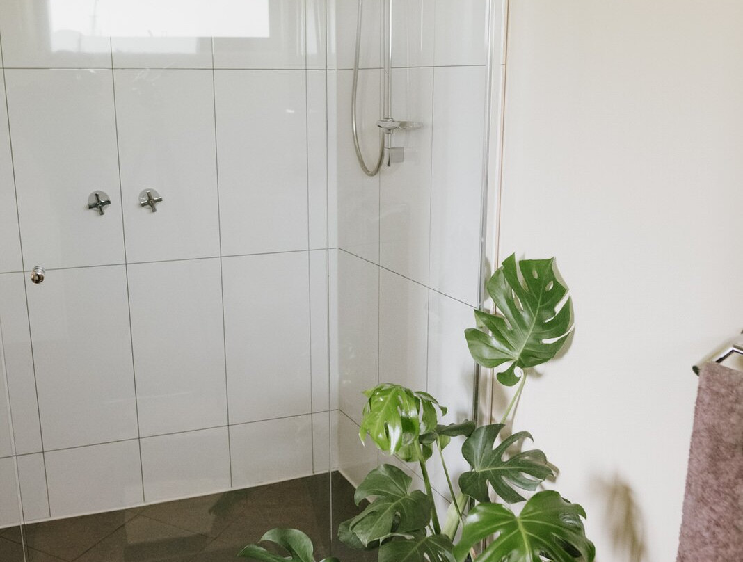 Spring Spur Stay主图