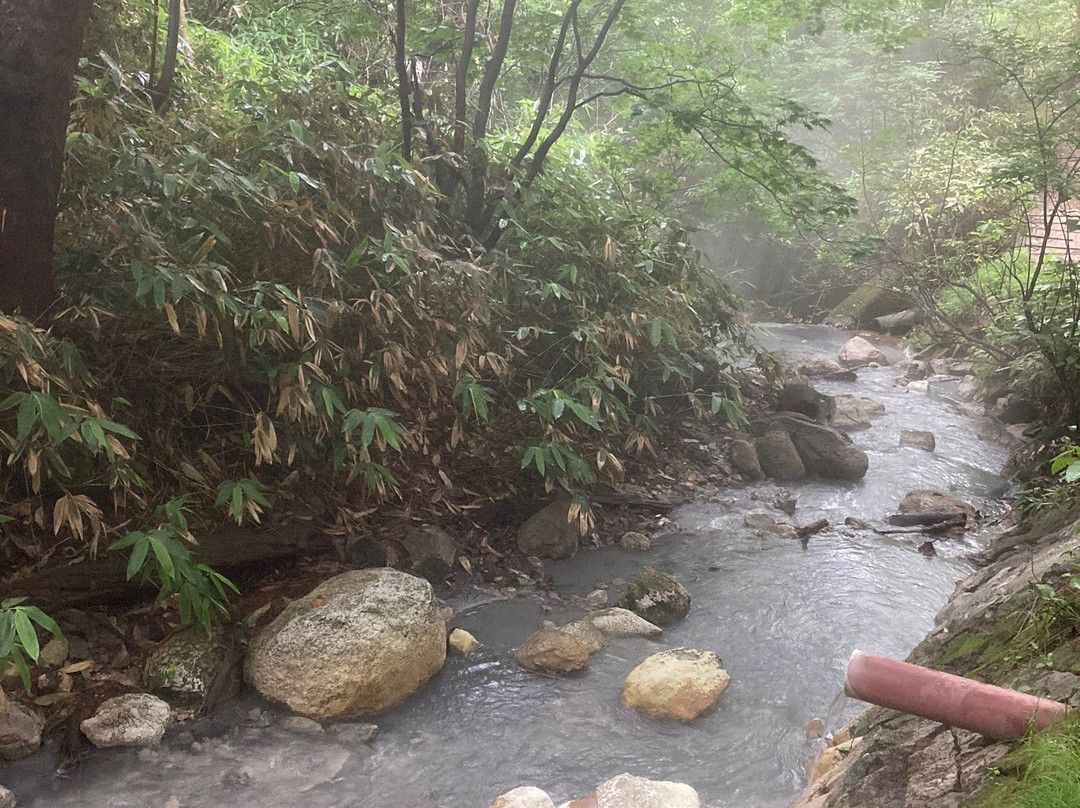 大汤沼川 天然足汤温泉景点图片