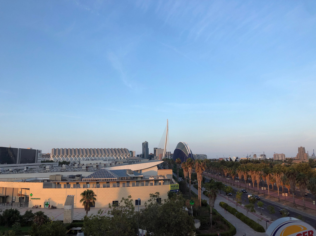 瓦伦西亚科学城智选假日酒店主图