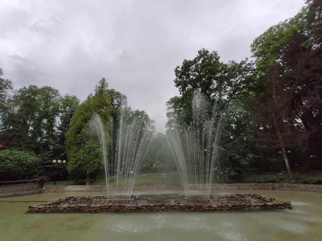Park Zdrojowy景点图片