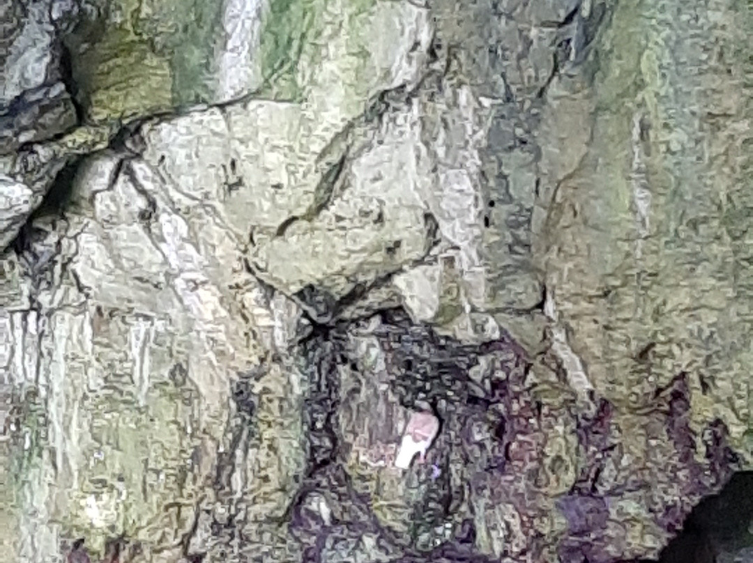 Onda blu-Castro必去景点