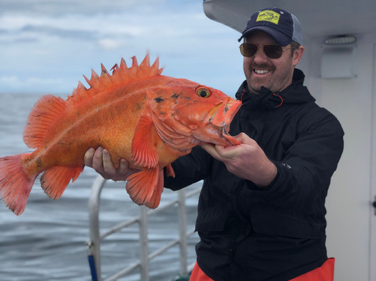 Kodiak Island Adventures-Kodiak必去景点