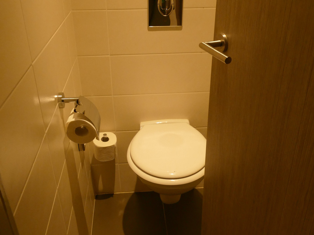 Best Western Plus Palais Des Congres主图