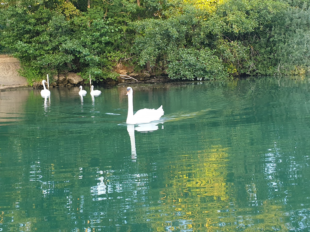 Marin d'Eau Douce景点图片