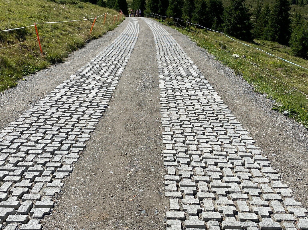 Alp Flix-Sur必去景点