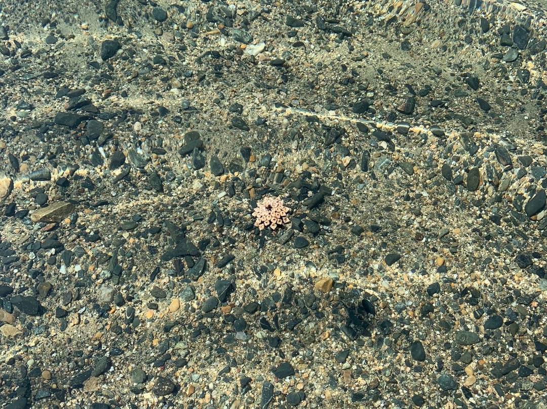 Krutiki Resort主图