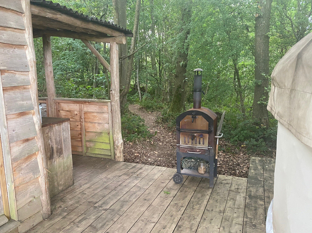 Brook House Woods景点图片