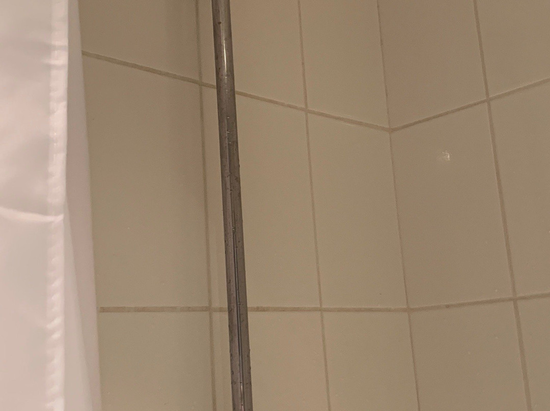 Hotel de la Plage主图