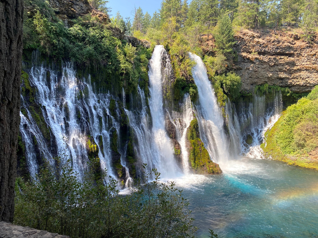 McArthur-Burney Falls State Park Cabins, Store, & Marina景点图片