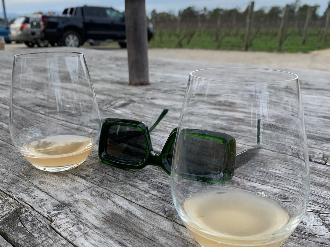 Cambridge Road Vineyard & Cellar Door景点图片