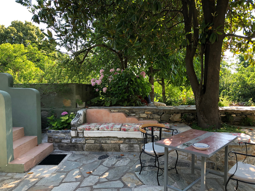 Αrnica Montana主图