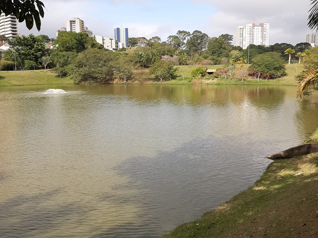 Parque Central Santo André景点图片