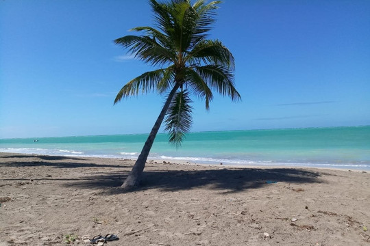 Porto Translado-嘎林海斯港必去景点