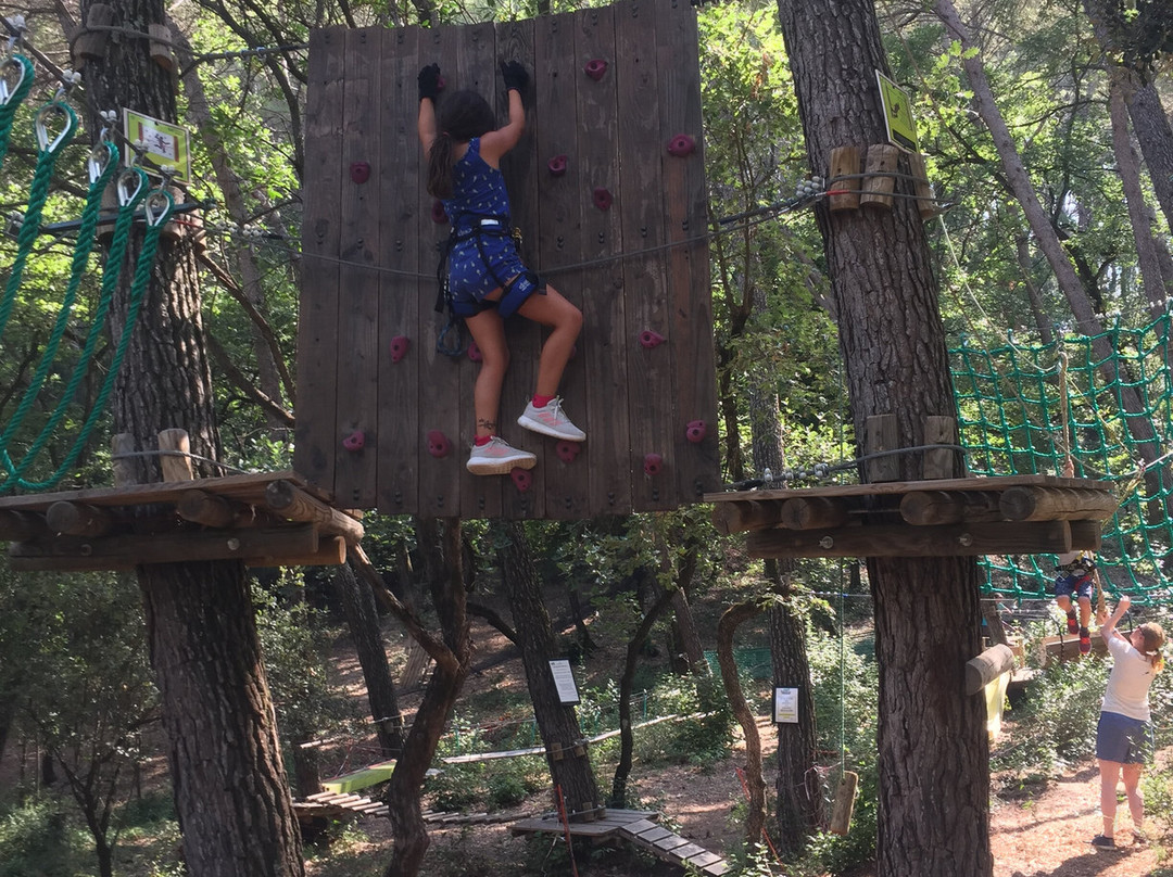 Parc aventure Flay Forest-Flayosc必去景点