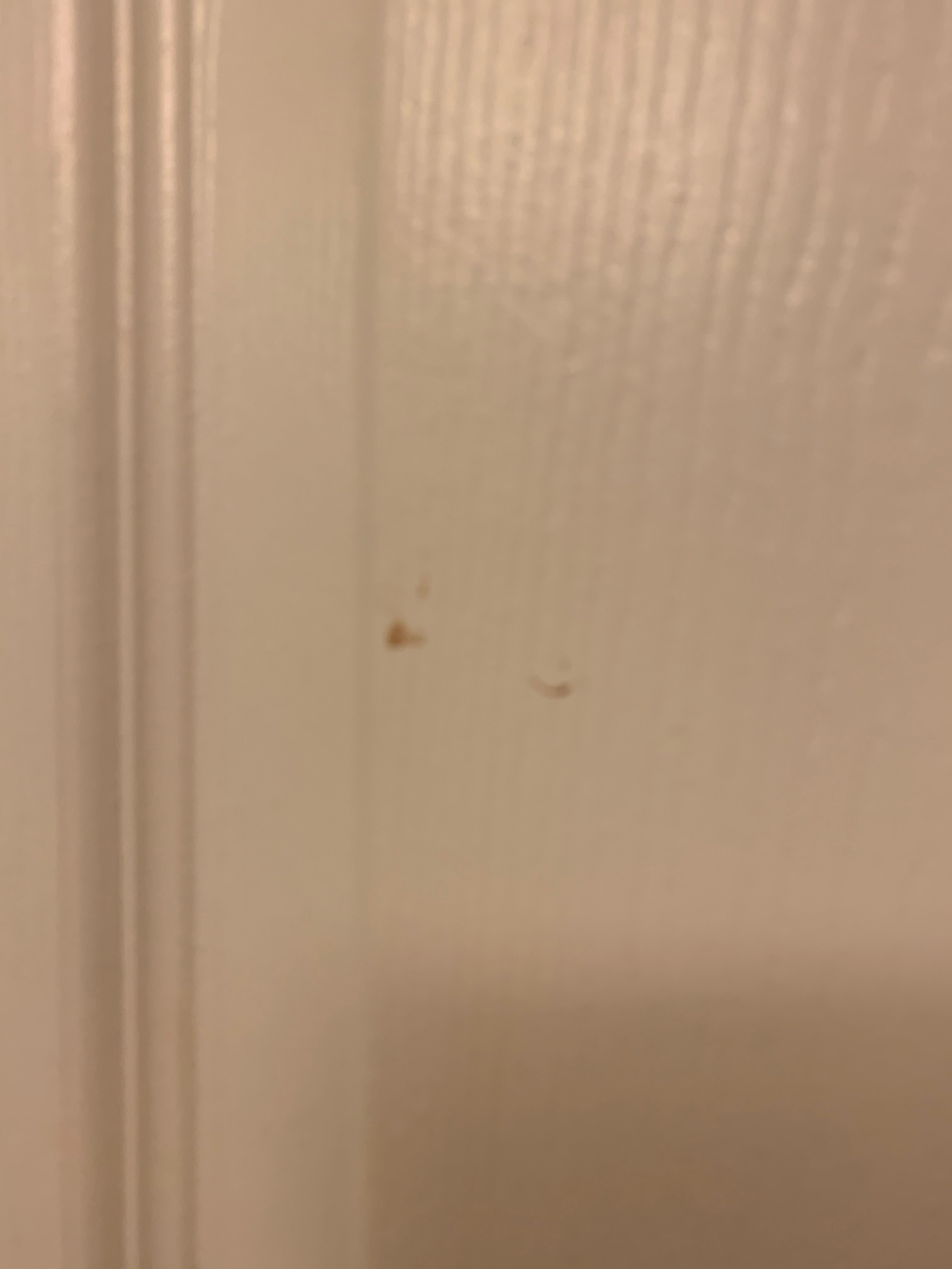 La Quinta Inn & Suites by Wyndham Birmingham Homewood-浴室