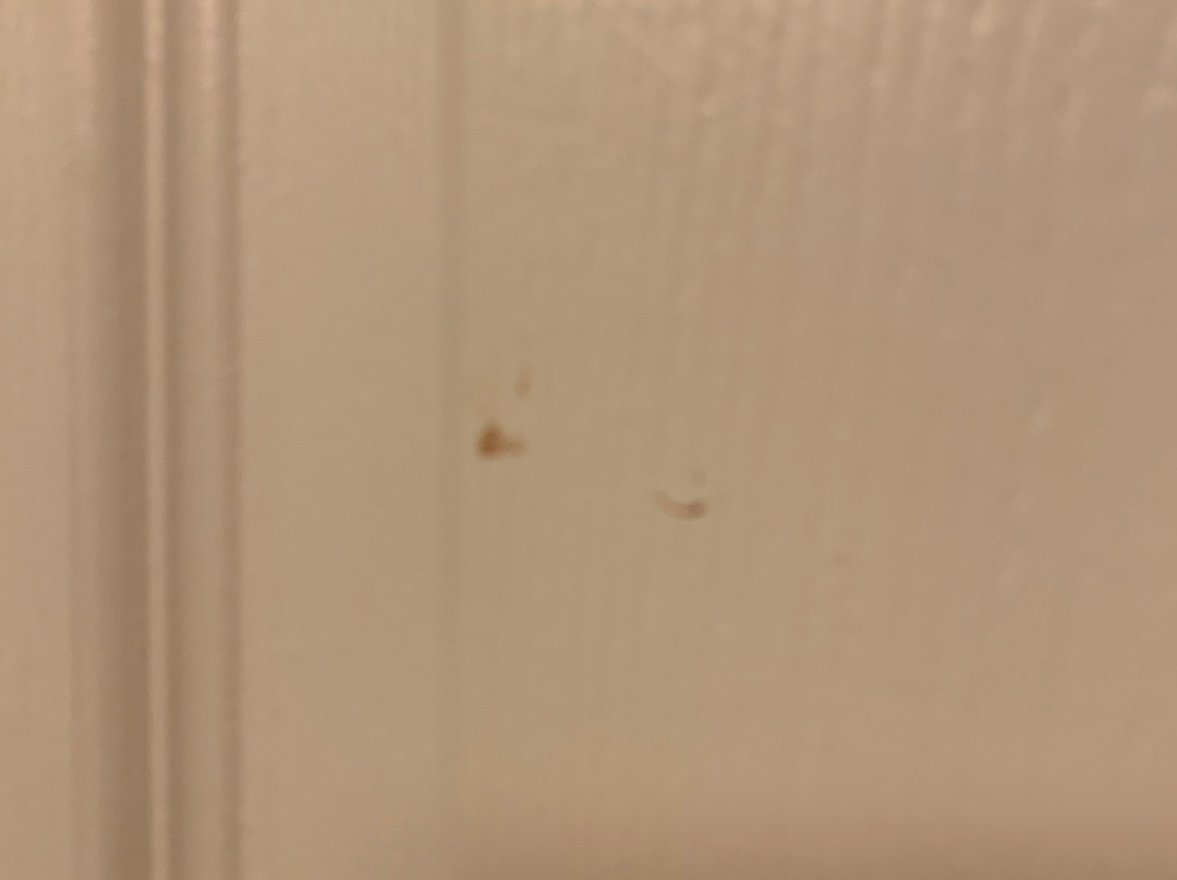 La Quinta Inn & Suites by Wyndham Birmingham Homewood主图