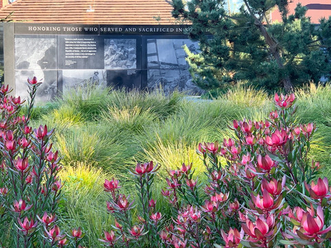 JB Walking Tours-旧金山必去景点