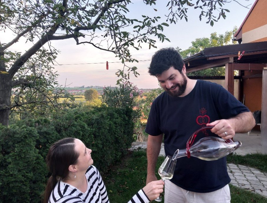 Vinařství Medek景点图片