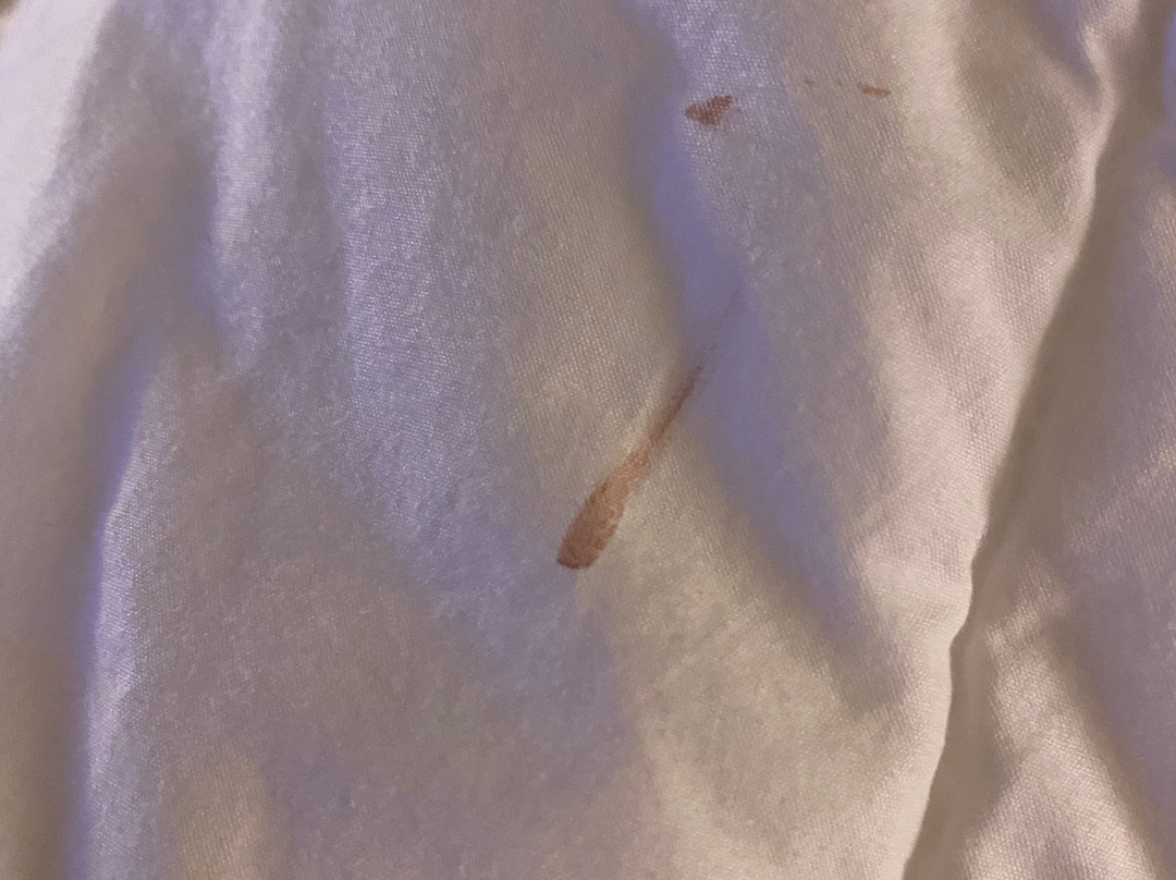 Comfort Suites Near Hot Springs Park主图