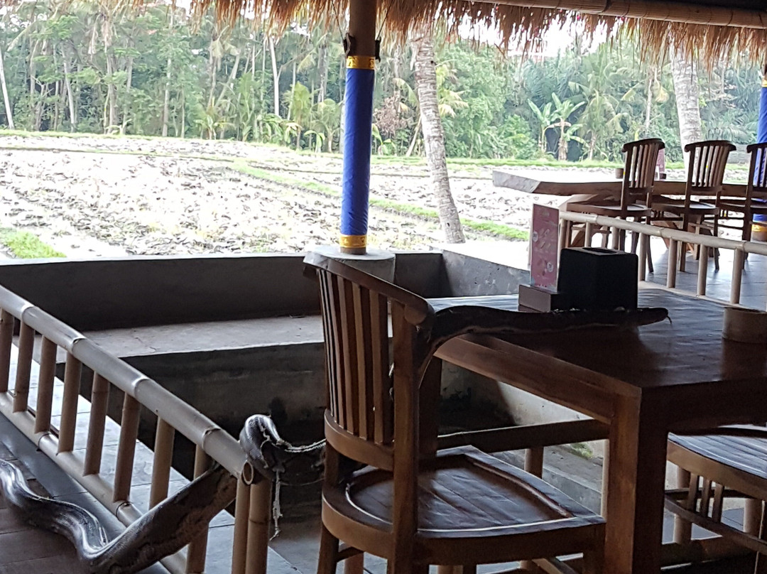 Wahana Bali Adventure singapadu景点图片