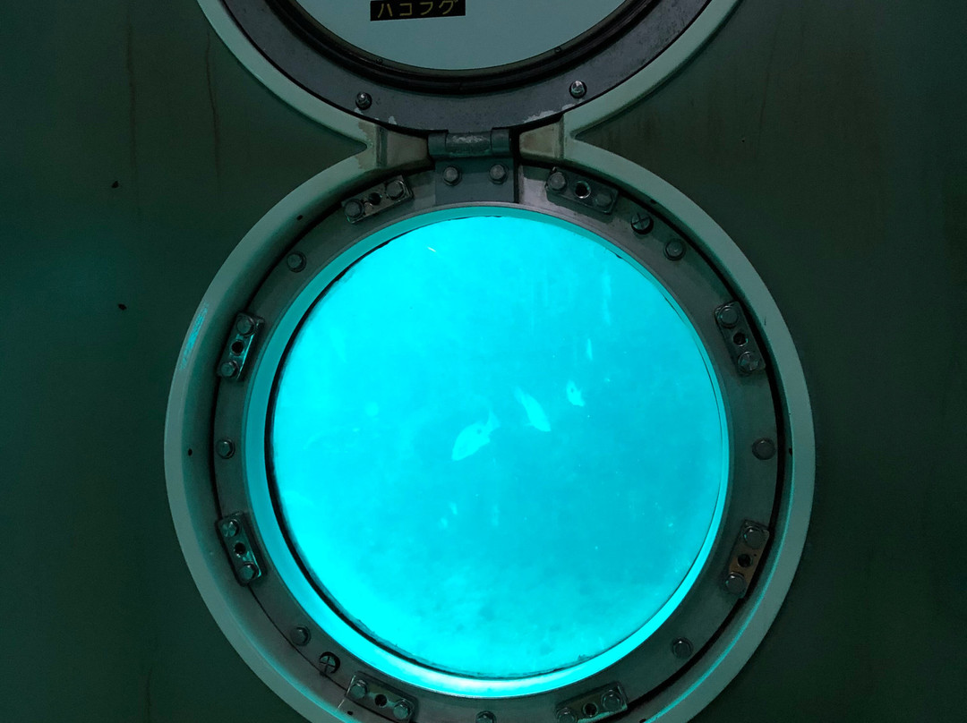 Ashizuri Underwater Aquarium-土佐清水市必去景点