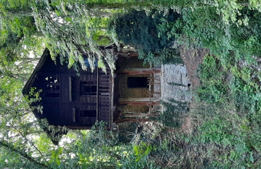 Château d'Attre景点图片