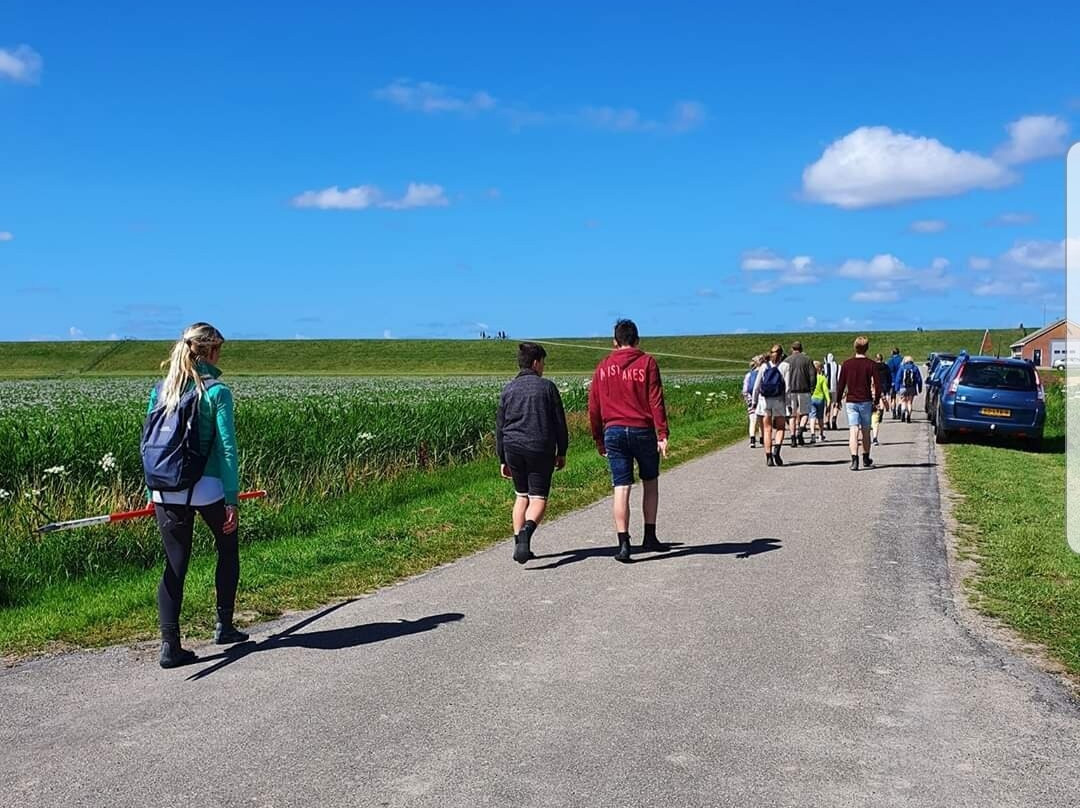 Wadlopen Pieterburen