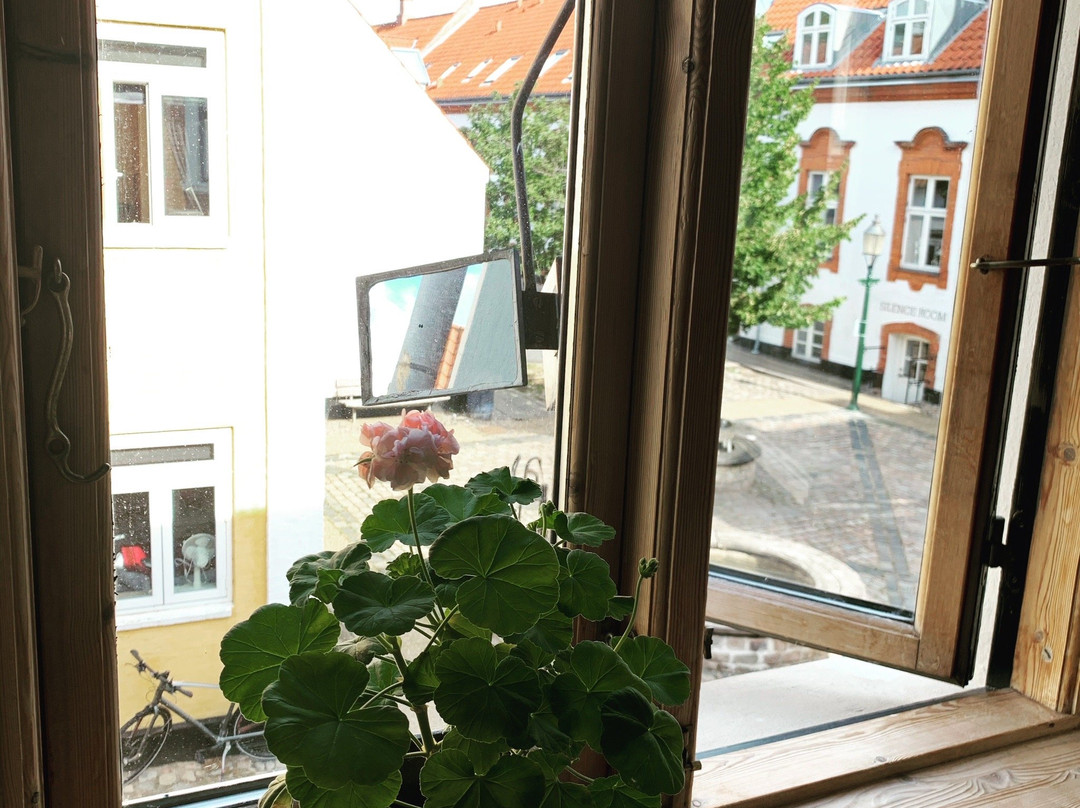 Nattely I Viborg By主图
