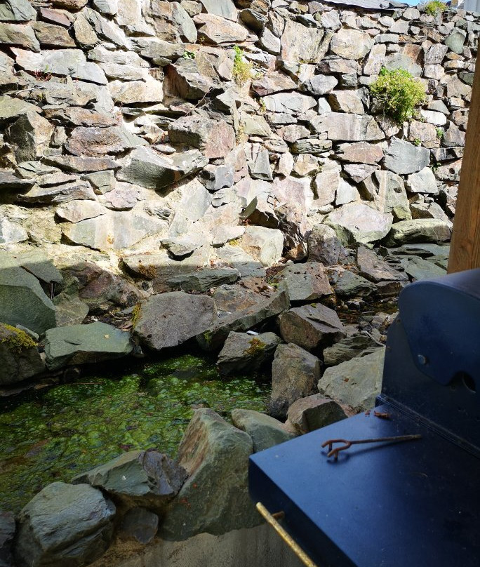 Arkle House Bed and Breakfast主图