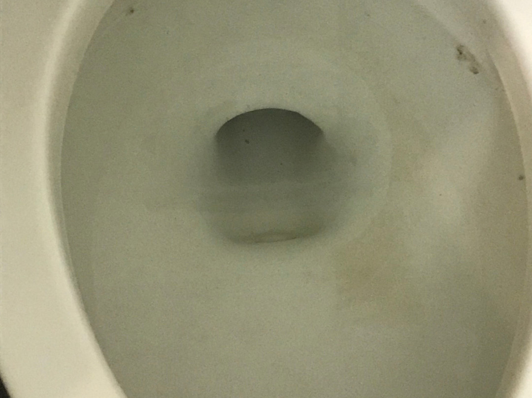 贝斯特韦斯特夏利马尔广场酒店&会议中心主图