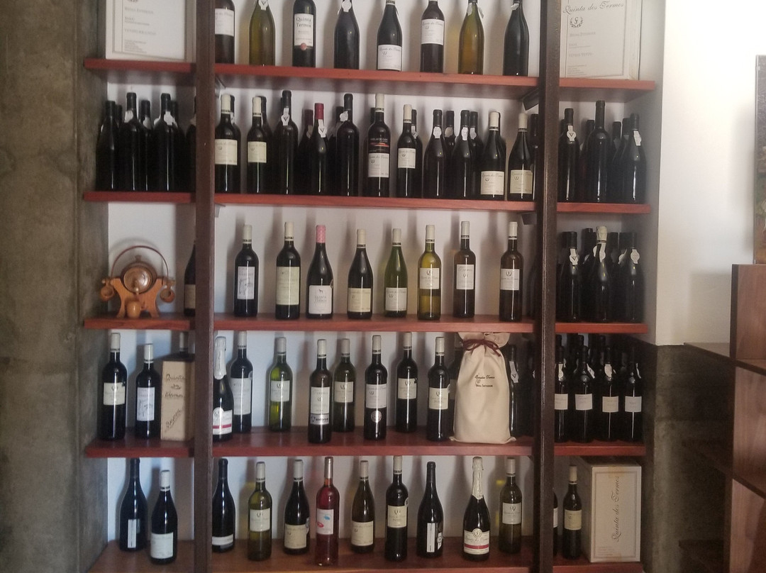 Quinta dos Termos景点图片