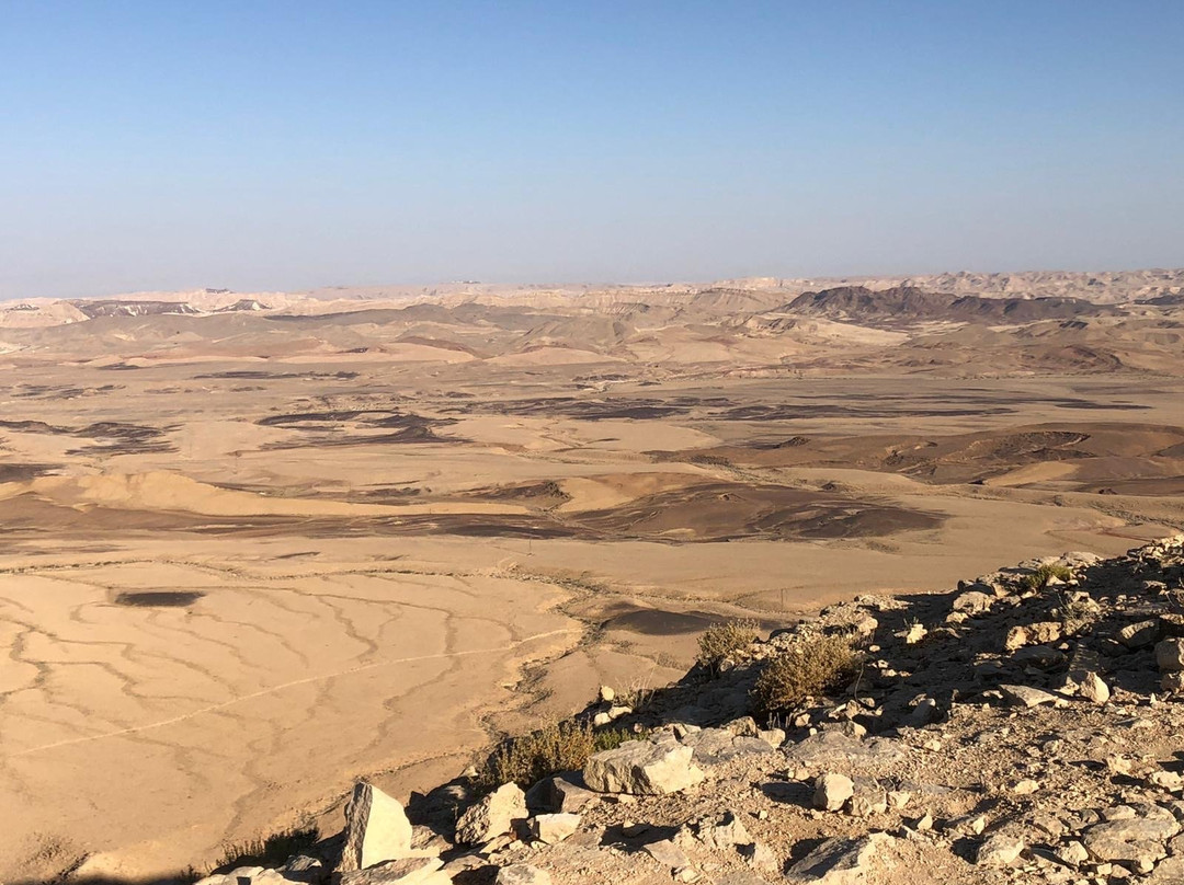 Desert Sculpture Park-米茨佩拉蒙必去景点