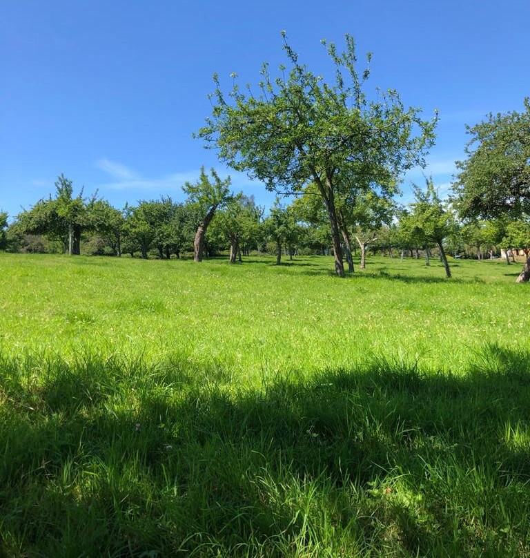 Ferme Pédagogique du Lieu Roussel景点图片