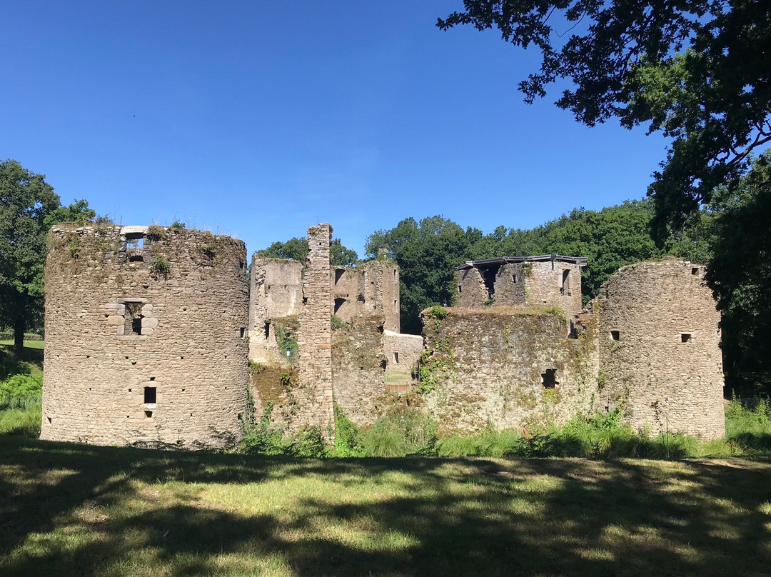 Château de Ranrouët景点图片