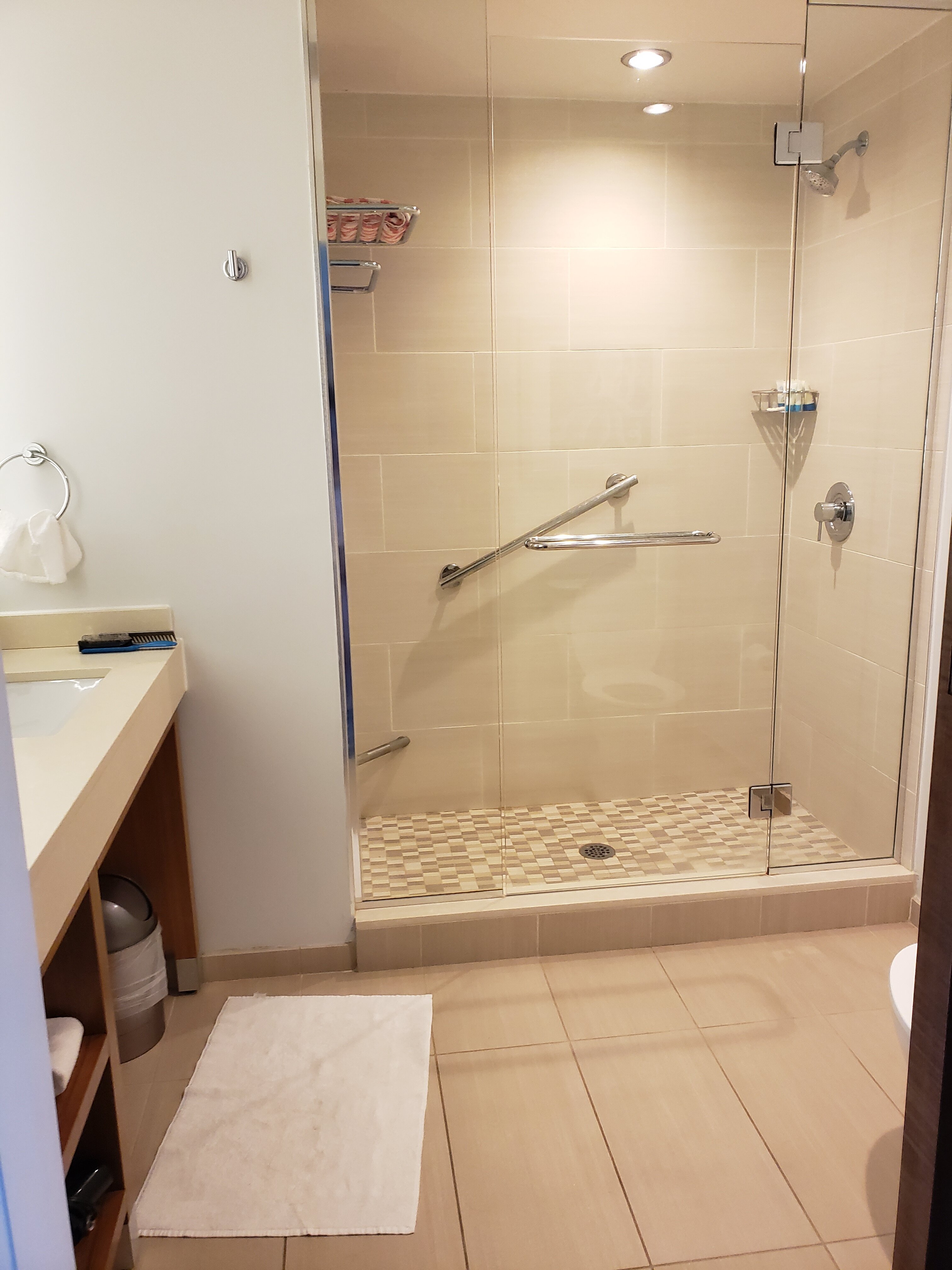 Hyatt House Virginia Beach/Oceanfront-浴室