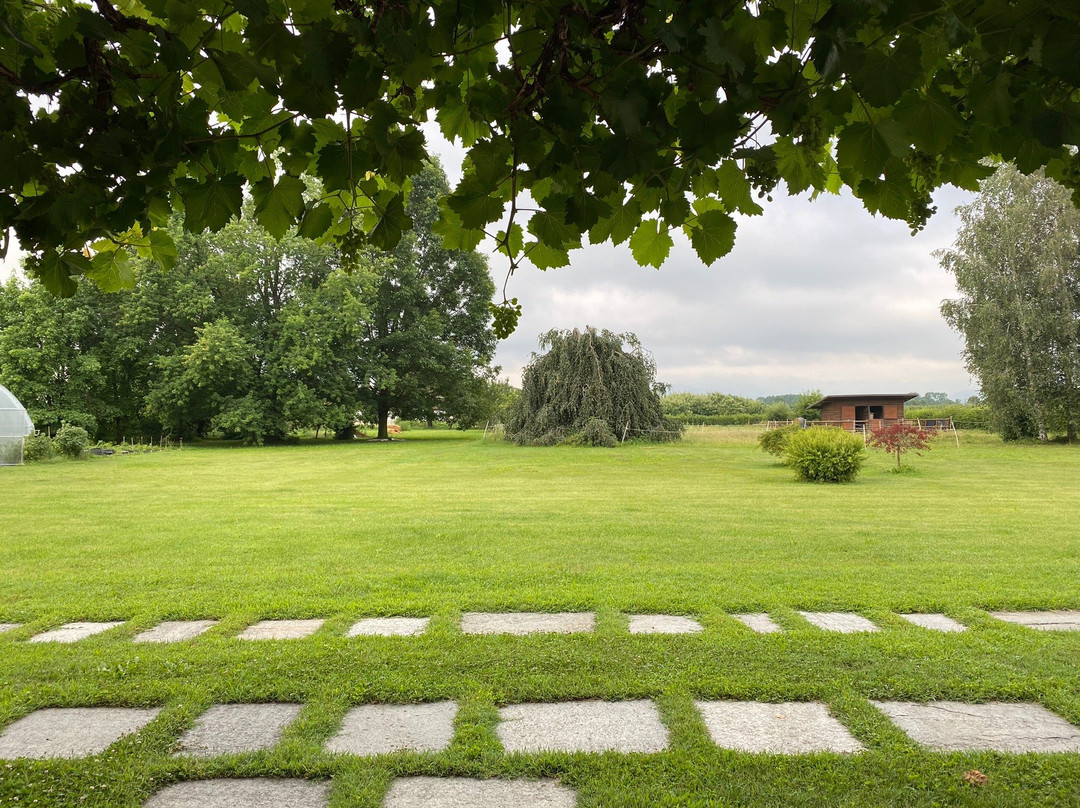 Seguendo l'Oca主图