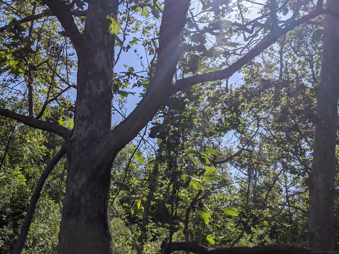 El Dorado Nature Center-长滩必去景点