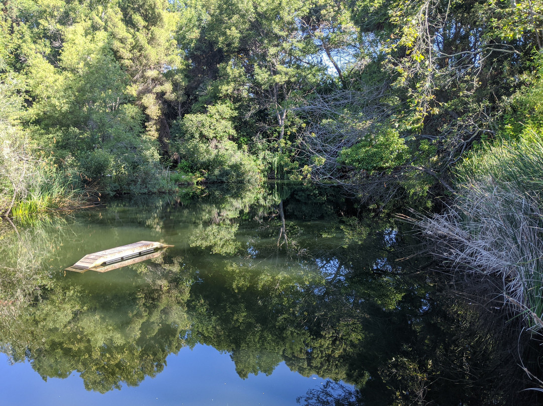 El Dorado Nature Center-长滩必去景点