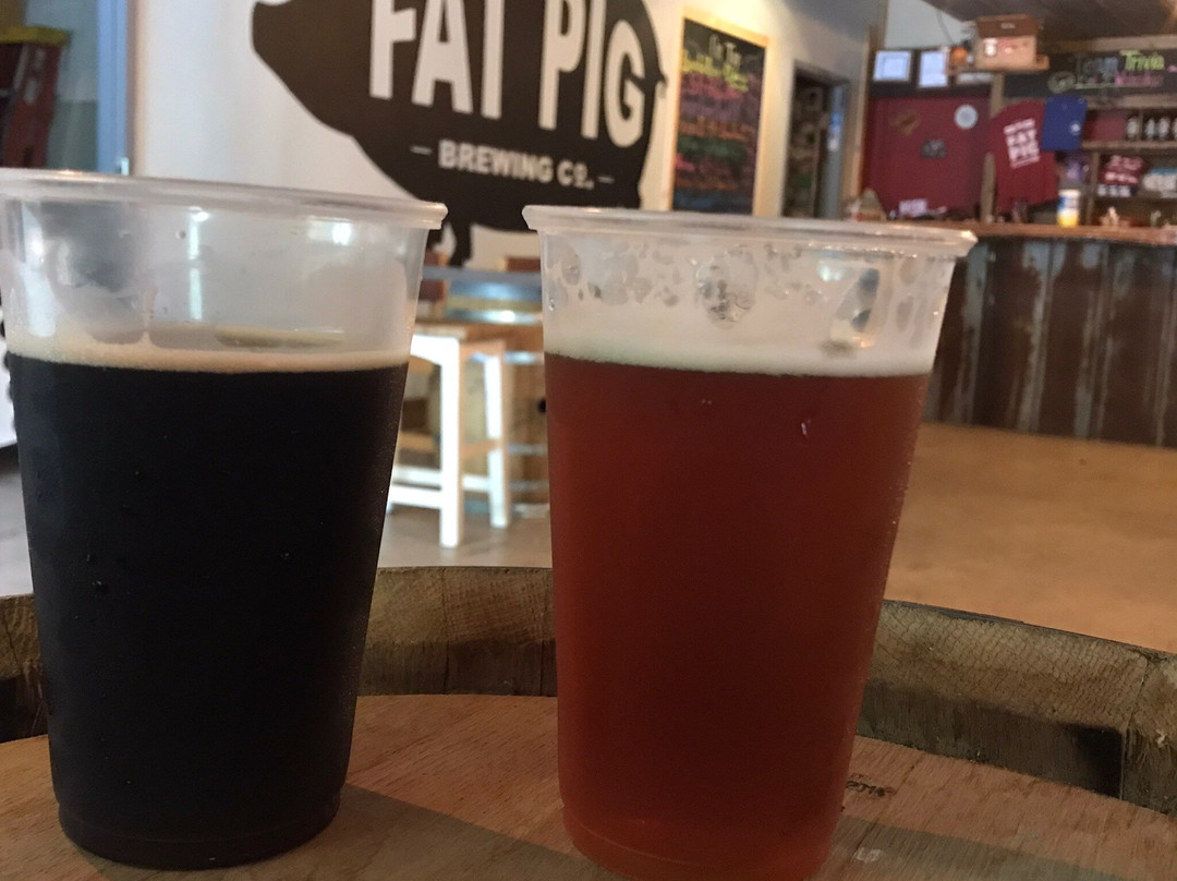 Fat Pig Brewing Company-Johns Island必去景点