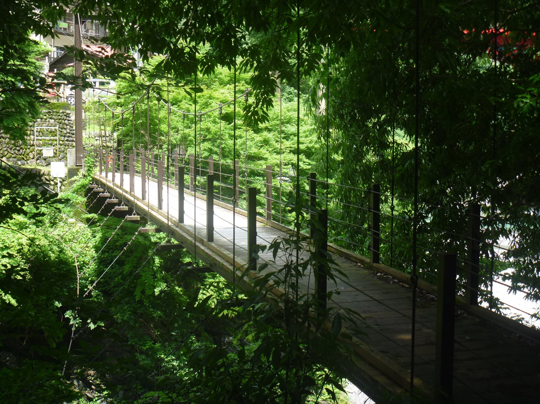 Hikawako Bridge-奥多摩町必去景点
