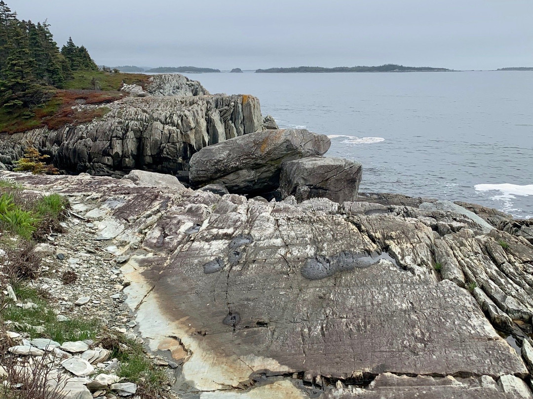 Taylor Head Provincial Park景点图片