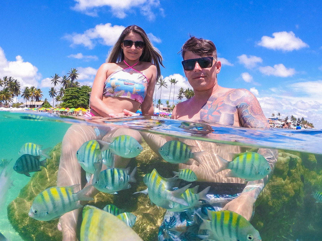 Plínio Guilherme fotografias-嘎林海斯港必去景点