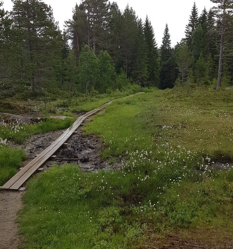 Granåsen Skisenter景点图片