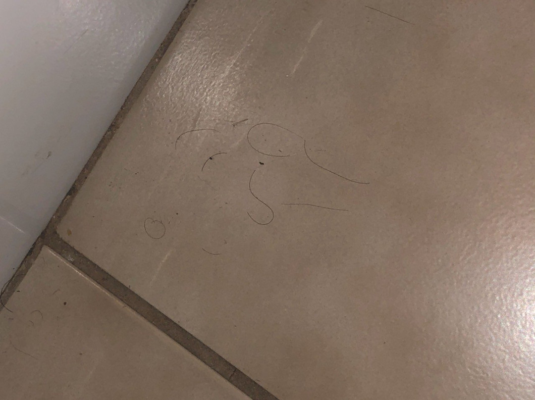 Days Inn by Wyndham Houma la