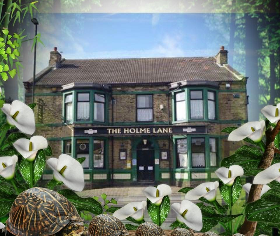 Holmelane Tavern Public House-布拉德福必去景点